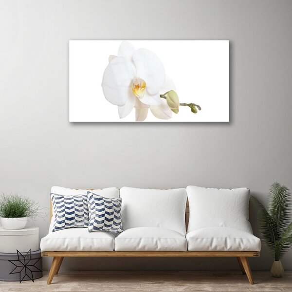 Quadro su vetro Fiore Pianta naturale 100x50 cm 2 appendini
