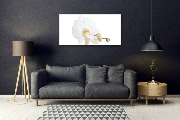 Quadro su vetro Fiore Pianta naturale 100x50 cm 2 appendini