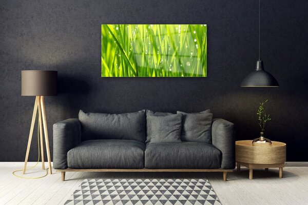 Quadro vetro Erba Pianta Natura 100x50 cm 2 appendini