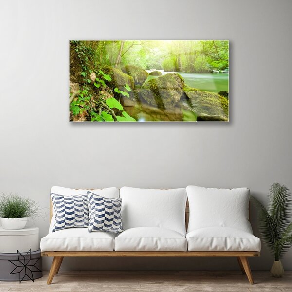 Quadro su vetro Lago Fiume Natura 100x50 cm 2 appendini