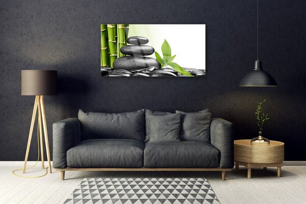 Quadro su vetro Pietre Zen di bambù Arte 100x50 cm 2 appendini