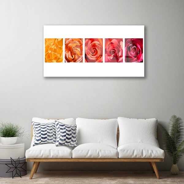 Quadro di vetro Rose Fiori Pianta 100x50 cm 2 appendini