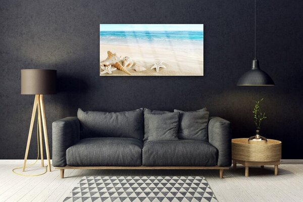 Quadro su vetro Conchiglie di stelle marine 100x50 cm 2 appendini