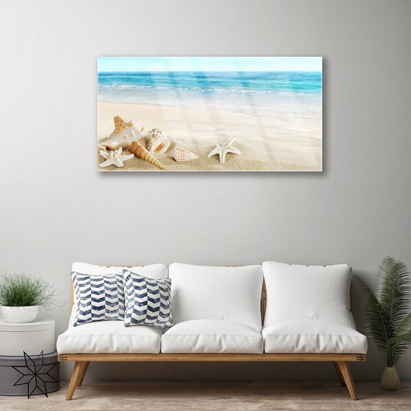 Quadro su vetro Conchiglie di stelle marine 100x50 cm 2 appendini