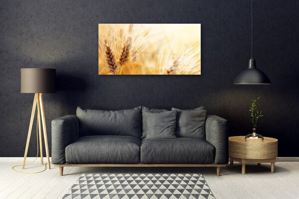 Quadro vetro Grano Natura Pianta 100x50 cm 2 appendini