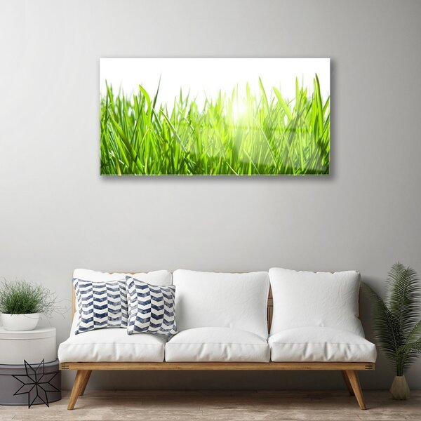 Quadro vetro Erba Pianta Natura 100x50 cm 2 appendini