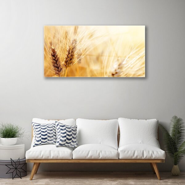 Quadro vetro Grano Natura Pianta 100x50 cm 2 appendini