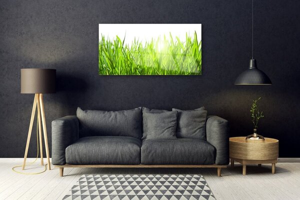 Quadro vetro Erba Pianta Natura 100x50 cm 2 appendini