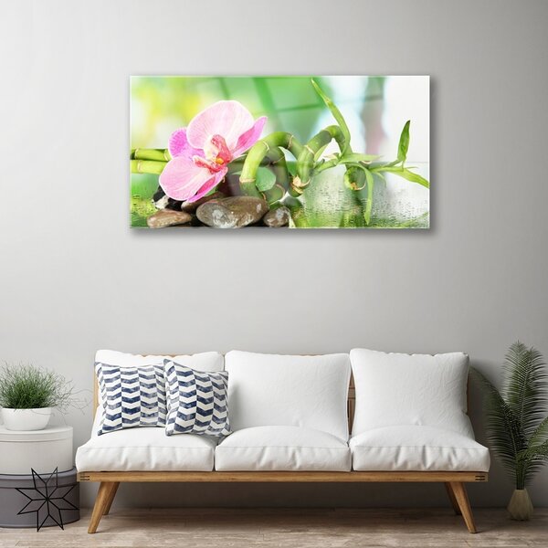 Quadro vetro Pianta di bambù Natura 100x50 cm 2 appendini