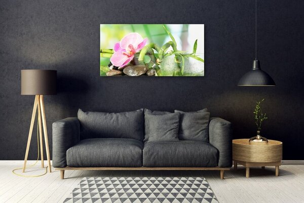Quadro vetro Pianta di bambù Natura 100x50 cm 2 appendini
