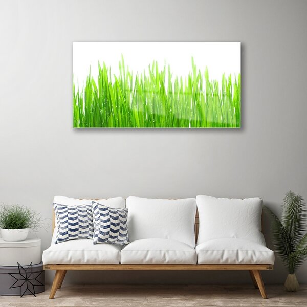 Quadro su vetro Erba Pianta Natura 100x50 cm 2 appendini