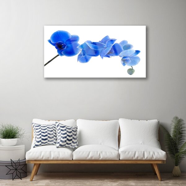 Quadro su vetro Fiore Pianta naturale 100x50 cm 2 appendini