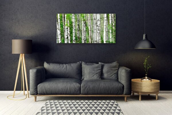 Quadro su vetro Foresta Pianta Natura Alberi 100x50 cm 2 appendini