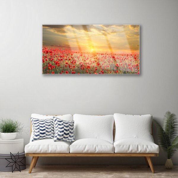 Quadro su vetro Fiori di papavero Sun Meadow 100x50 cm 2 appendini