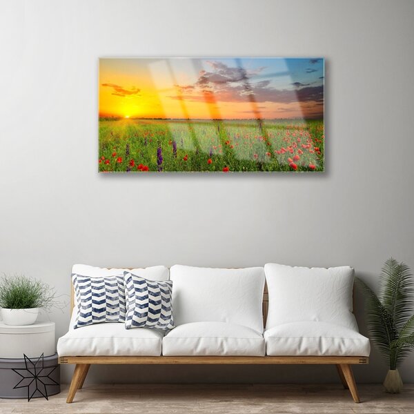 Quadro vetro Sole Prato Fiori Natura 100x50 cm 2 appendini