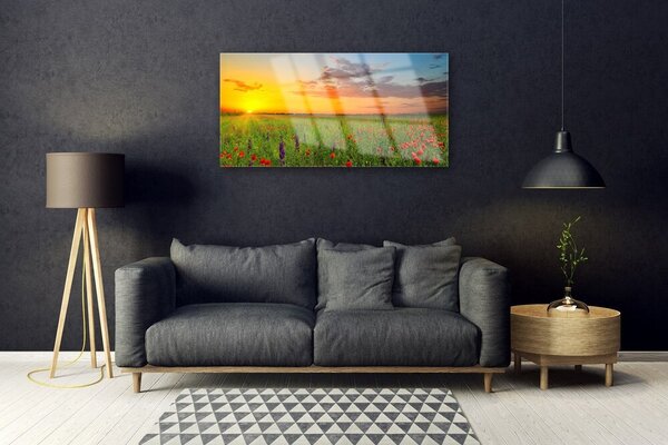 Quadro vetro Sole Prato Fiori Natura 100x50 cm 2 appendini