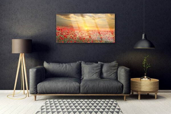 Quadro su vetro Fiori di papavero Sun Meadow 100x50 cm 2 appendini