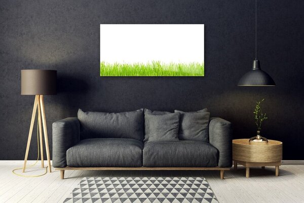 Quadro vetro Erba Pianta Natura 100x50 cm 2 appendini