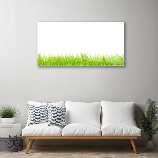 Quadro vetro Erba Pianta Natura 100x50 cm 2 appendini