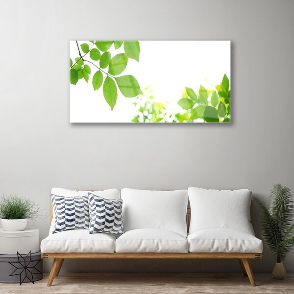 Quadro vetro Petali Pianta Natura 100x50 cm 2 appendini