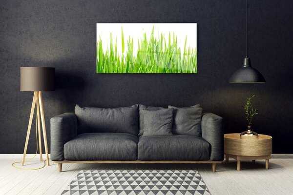 Quadro in vetro Erba Pianta Natura 100x50 cm 2 appendini