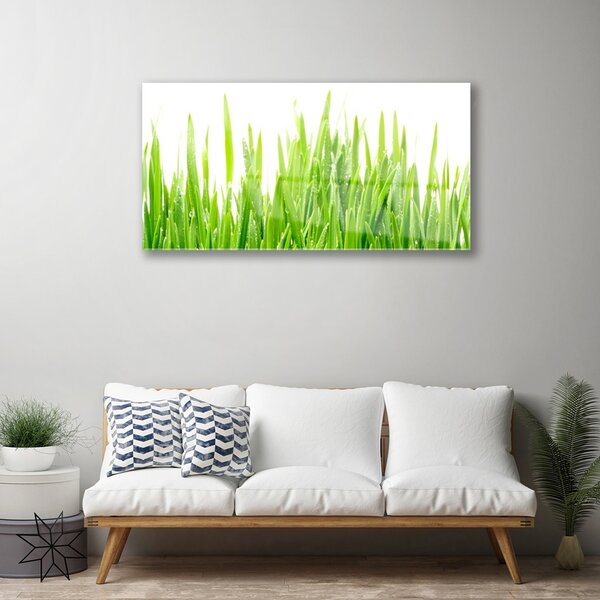 Quadro in vetro Erba Pianta Natura 100x50 cm 2 appendini