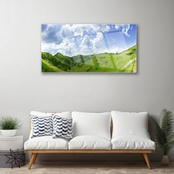 Quadro su vetro Campo naturale di Mountain Meadow 100x50 cm 2 appendini