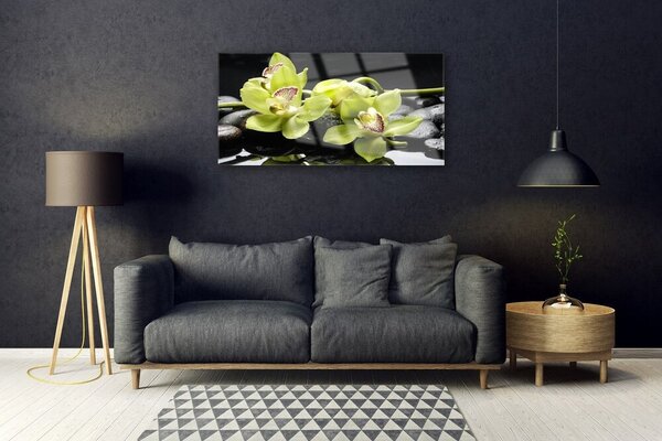 Quadro in vetro Pianta di orchidea da fiore 100x50 cm 2 appendini