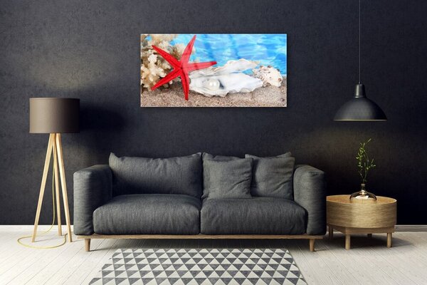 Quadro in vetro Conchiglie stelle marine Natura 100x50 cm 2 appendini
