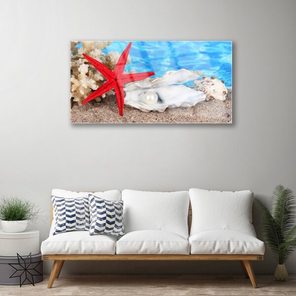 Quadro in vetro Conchiglie stelle marine Natura 100x50 cm 2 appendini