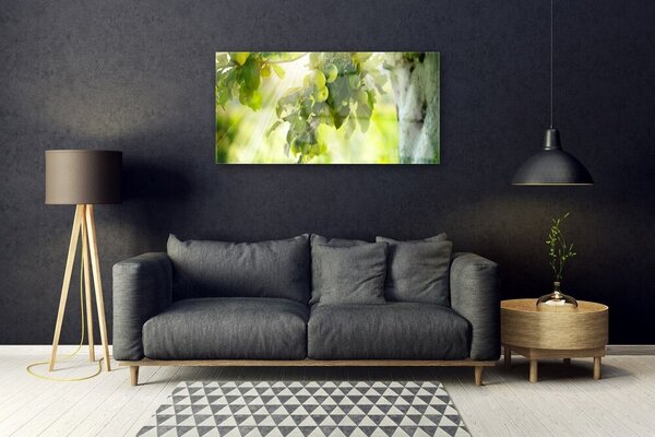 Quadro in vetro Ramo di melo Natura 100x50 cm 2 appendini