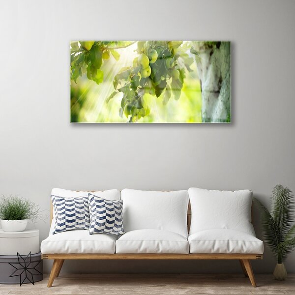 Quadro in vetro Ramo di melo Natura 100x50 cm 2 appendini