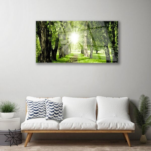 Quadro su vetro Foresta Sentiero del Sole Natura 100x50 cm 2 appendini