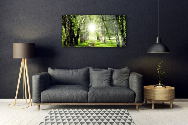 Quadro su vetro Foresta Sentiero del Sole Natura 100x50 cm 2 appendini
