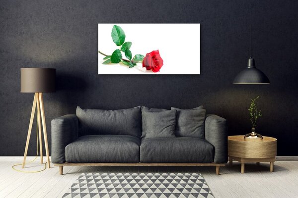 Quadro in vetro Fiore di rosa pianta naturale 100x50 cm 2 appendini