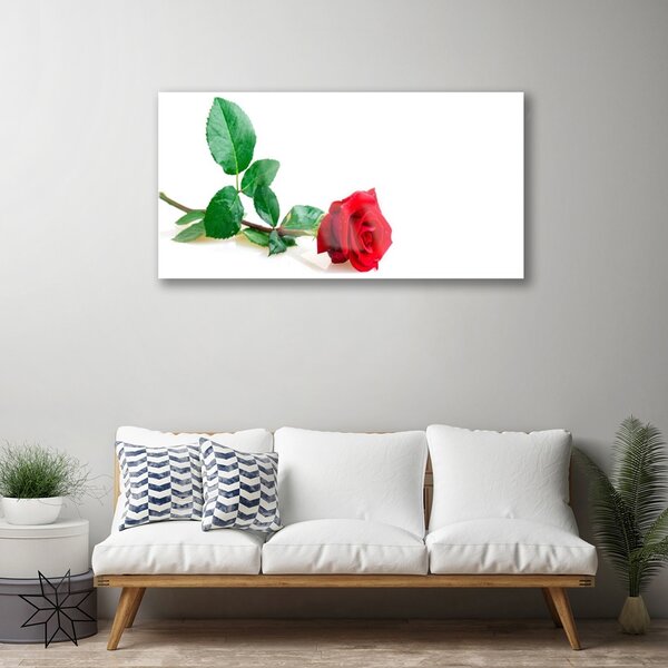 Quadro in vetro Fiore di rosa pianta naturale 100x50 cm 2 appendini