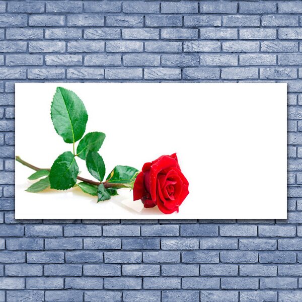 Quadro su tela Natura della pianta del fiore della rosa 100x50 cm