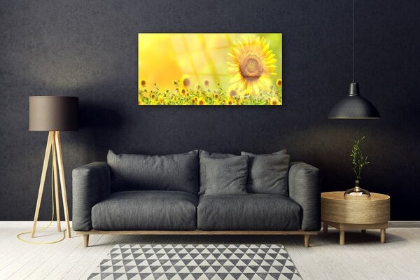 Quadro in vetro Pianta di girasole 100x50 cm 2 appendini