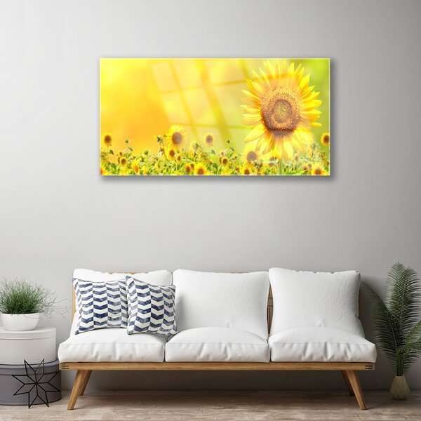 Quadro in vetro Pianta di girasole 100x50 cm 2 appendini