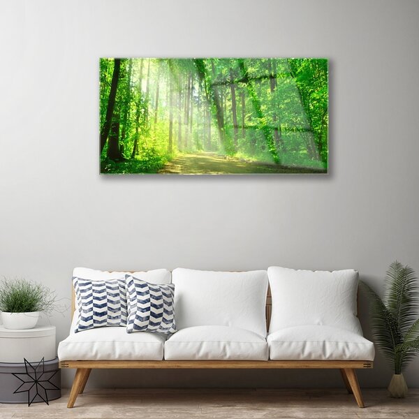 Quadro in vetro Sentiero forestale Alberi naturali 100x50 cm 2 appendini