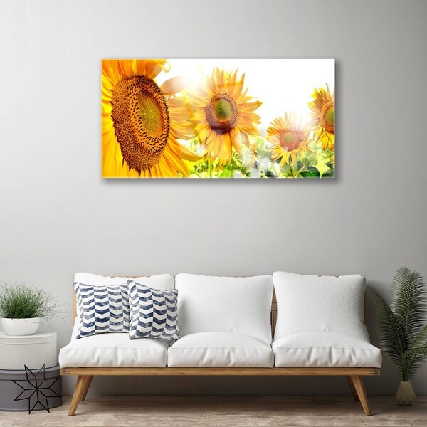 Quadro di vetro Pianta di girasole 100x50 cm 2 appendini