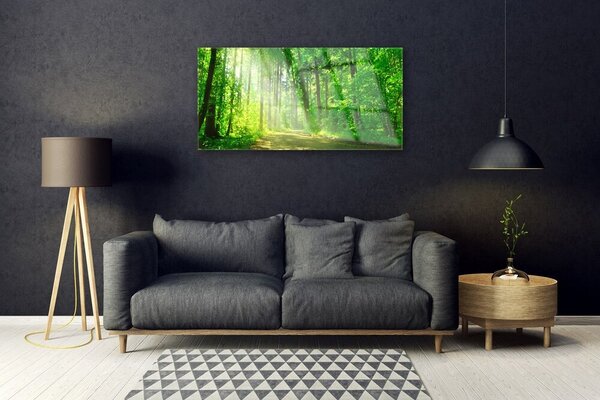 Quadro in vetro Sentiero forestale Alberi naturali 100x50 cm 2 appendini