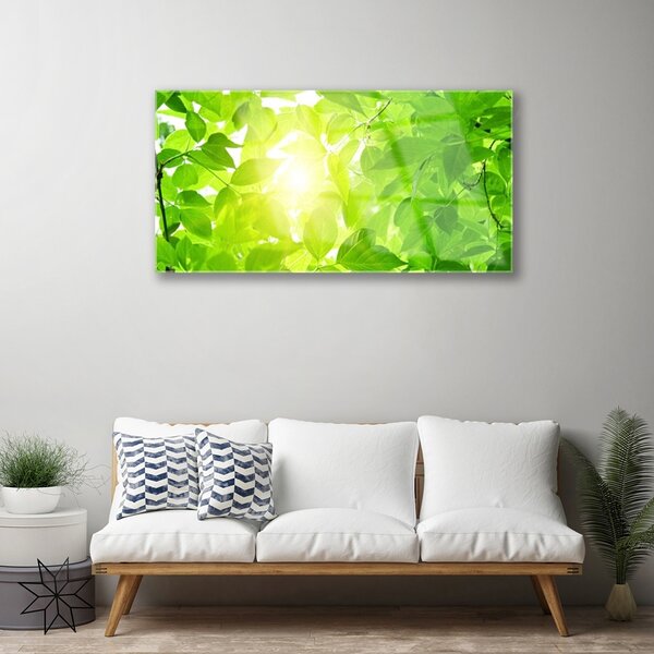 Quadro su vetro Foglie Natura Sole Pianta 100x50 cm 2 appendini