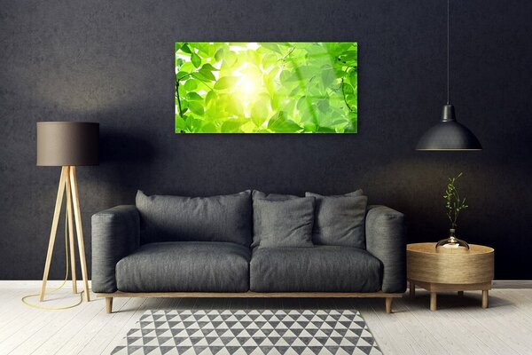 Quadro su vetro Foglie Natura Sole Pianta 100x50 cm 2 appendini