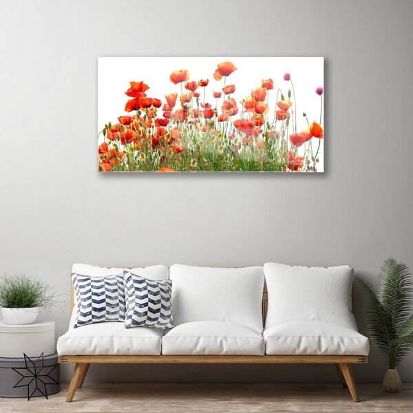 Quadro in vetro Papaveri Pianta Naturale 100x50 cm 2 appendini