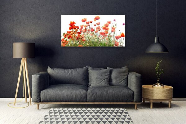 Quadro in vetro Papaveri Pianta Naturale 100x50 cm 2 appendini