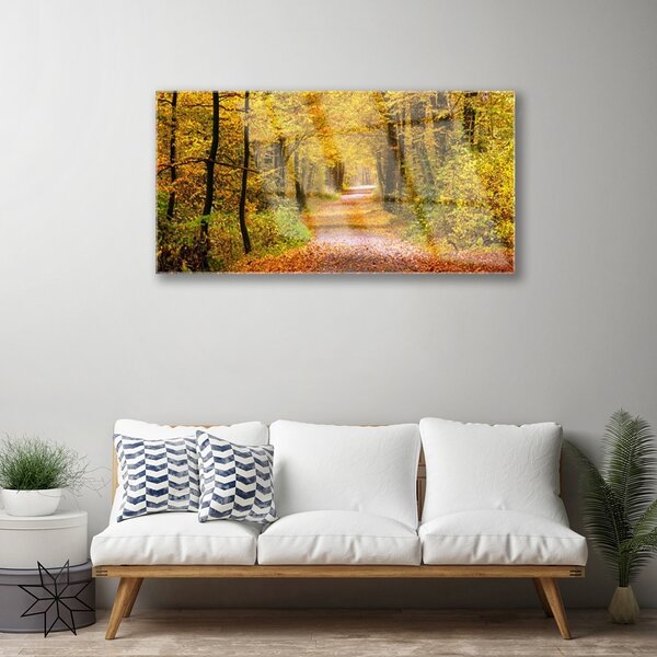 Quadro in vetro Sentiero delle piante forestali Natura 100x50 cm 2 appendini