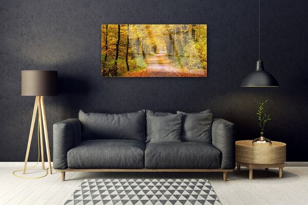 Quadro in vetro Sentiero delle piante forestali Natura 100x50 cm 2 appendini