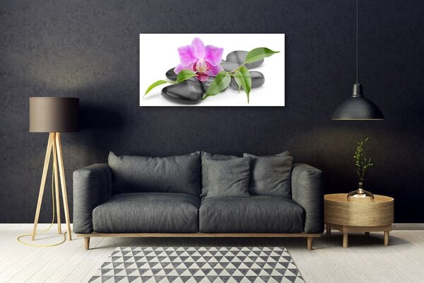 Quadro su vetro Arte delle orchidee 100x50 cm 2 appendini