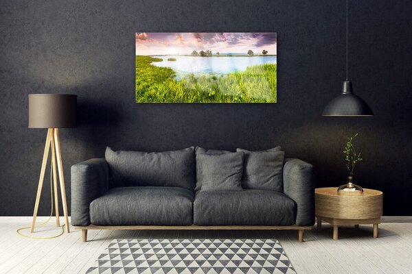 Quadro di vetro Lago d'erba Natura 100x50 cm 2 appendini